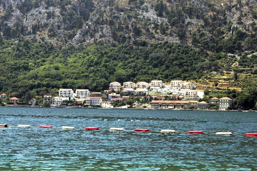 Red and white life preservers drift in the water, set against the backdrop of Kotor Dobrota, Montenegro.