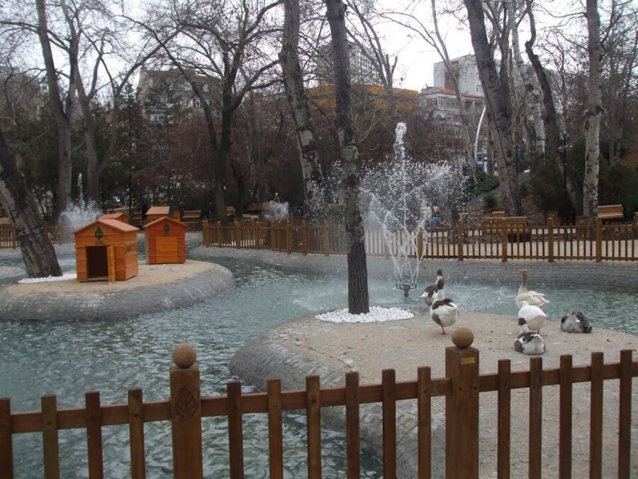 Ducks float on a tranquil pond, surrounded by a wooden fence in Kuğulu Park, Ankara.