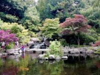 Kyoto Garden