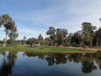l'Hermitage Garden Travel Forum Reviews