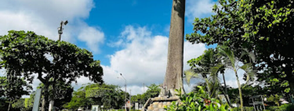la Lupuna Park Travel Forum Reviews