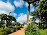 la Lupuna Park Travel Forum Reviews