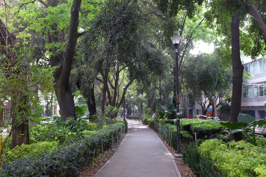 Bustling street in La Condesa, Mexico City, showcasing colorful architecture, pedestrians, and lush greenery