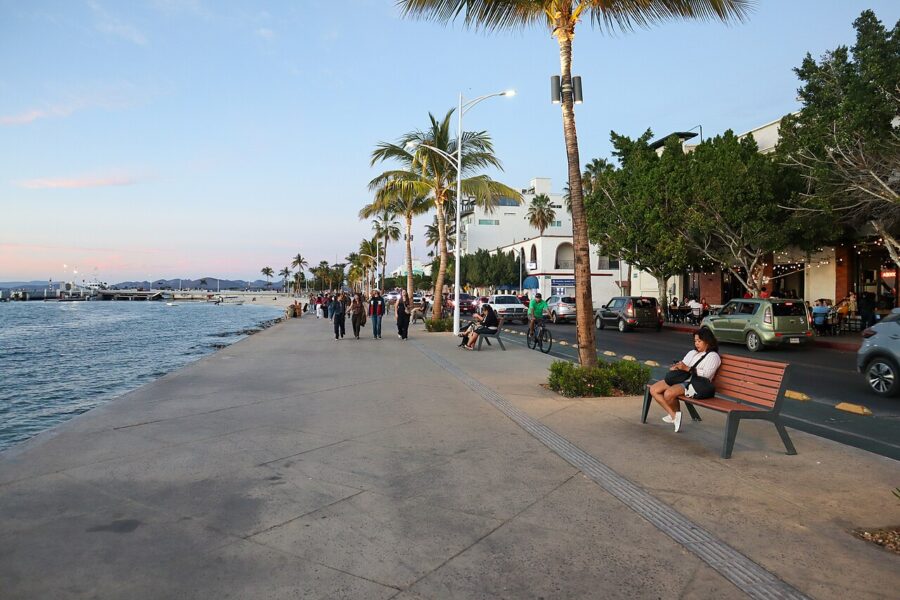 Scenic view of La Paz Malecon, featuring palm trees, ocean waves, and a vibrant promenade bustling with visitors.