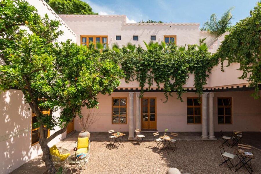 Hotel courtyard at La Valise San Miguel de Allende featuring a tree and chairs for relaxation.