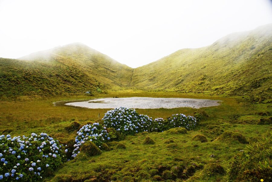 Serene pond surrounded by lush green grass and colorful flowers in Lajes do Pico, Pico Island, Azores, Portugal.