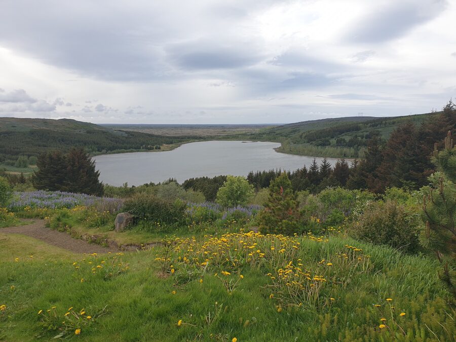 Scenic view of Lake Hvaleyrarvatn surrounded by a forest, featuring a wooden bench in the foreground.