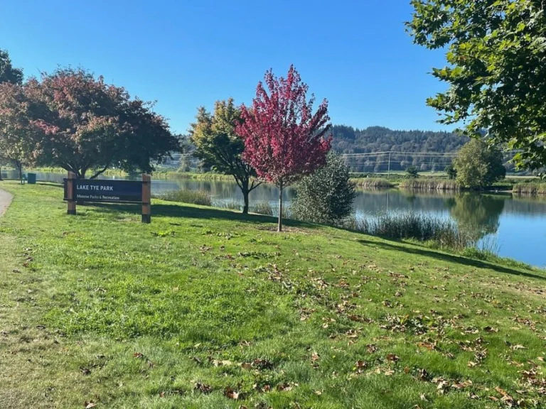 Lake Tye Park