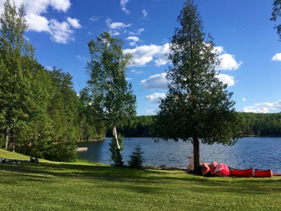 Serene lakeside scene with trees, canoes, and a wooden dock under a sunny blue sky.