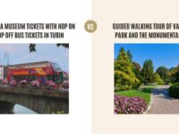 Lavazza Museum Tickets with Hop on Hop Off Bus Tickets in Turin vs Guided Walking Tour of Valentino Park and the Monumental Trees: Which Tour Is Better?