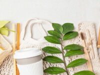 Top 15 Eco-Friendly Travel Gadgets You Need for Your Next Sustainable Adventure