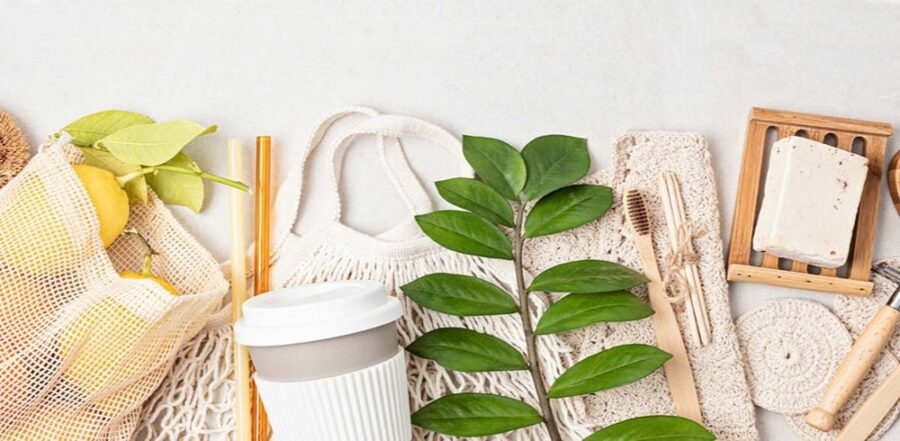 lemons eco items
