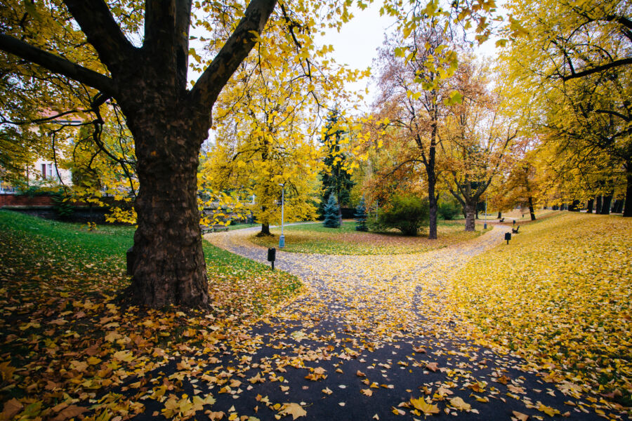 Picturesque view of a walkway in Letná Park, Prague, surrounded by colorful autumn leaves and trees in full fall splendor