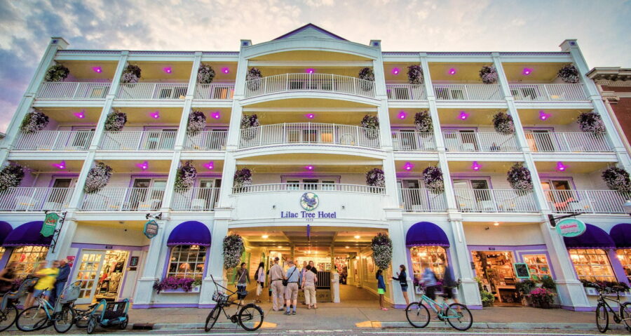 Lilac Tree Suites 