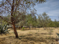 llanta Park Travel Forum Reviews