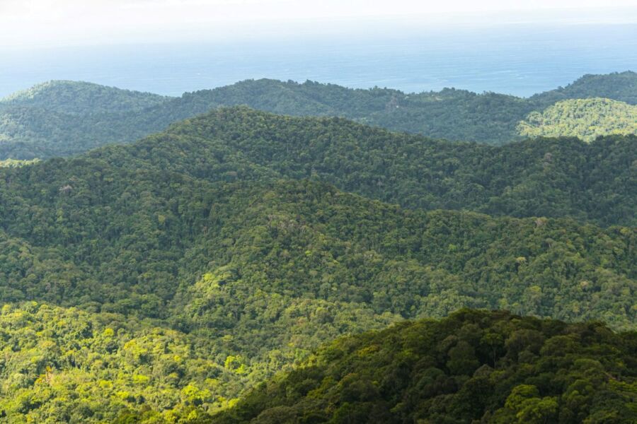 lush green hills landscape