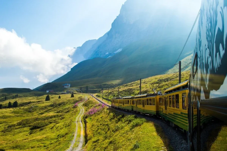 lush green railway landscape