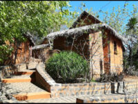 madabest Travel Forum Reviews