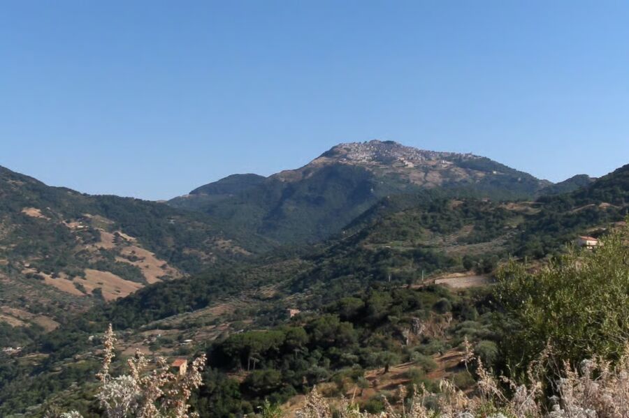 Scenic view of the Madonie Mountains from a hillside, showcasing lush greenery and rugged peaks under a clear sky.