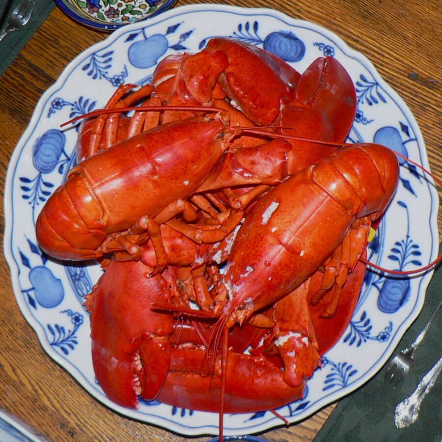 Beautifully arranged plate of boiled Maine lobster on a table, highlighting its rich color and delicious presentation.