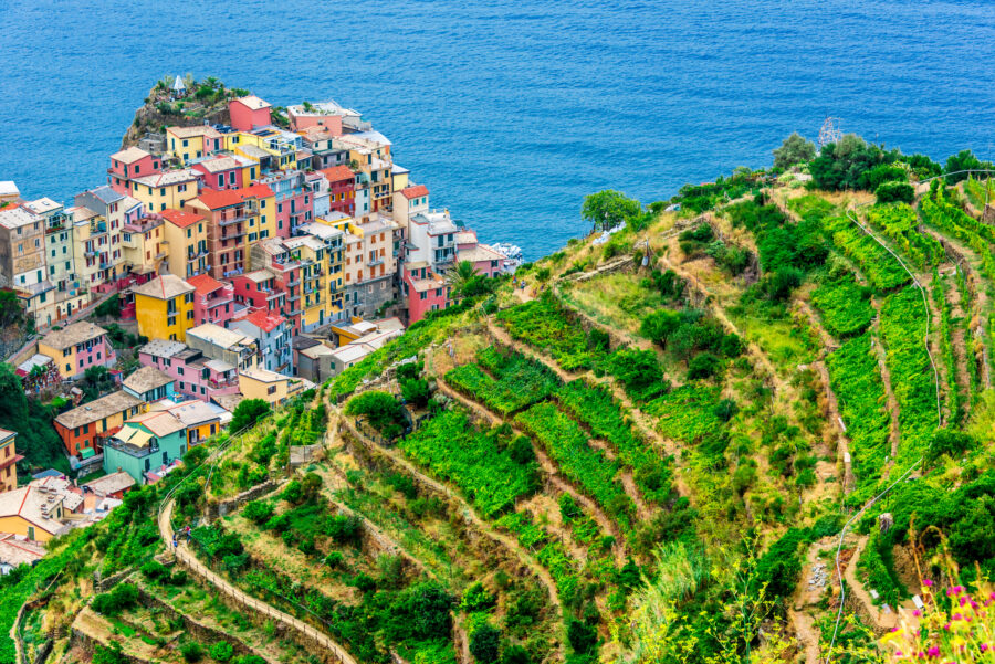 Scenic view of Manarola, a colorful coastal town in Liguria, Italy, featuring vibrant buildings and a picturesque harbor