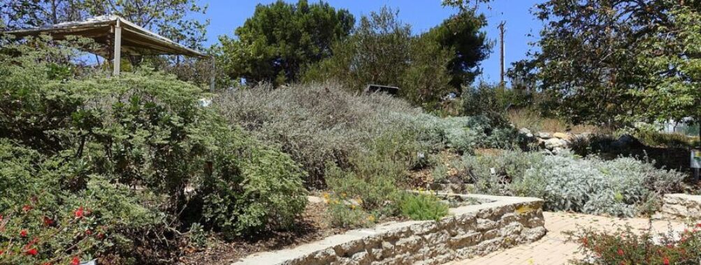 Manhattan Beach Botanical Garden