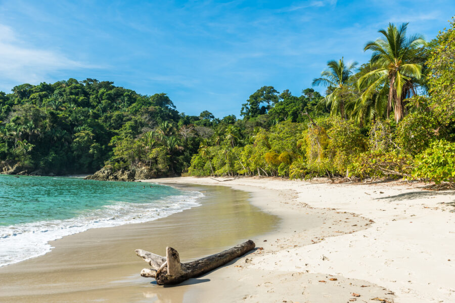 Tropical beach in Manuel Antonio, Costa Rica, featuring golden sand, lush greenery, and clear blue waters