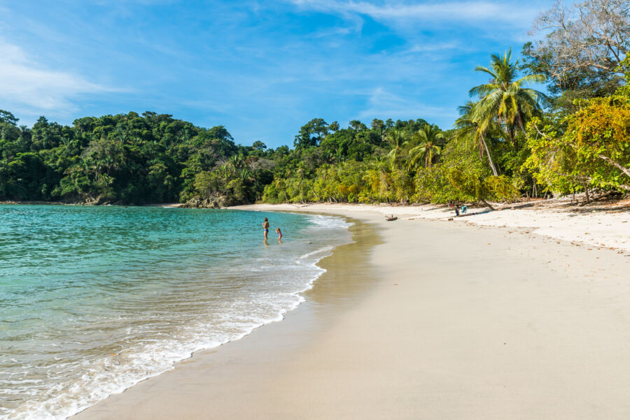 Manuel Antonio beach in Costa Rica, highlighting its stunning coastline, palm trees, and inviting turquoise waters