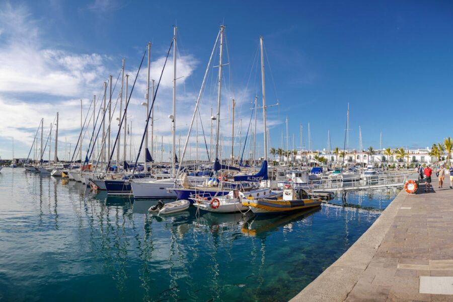 Marina with sailboats and yachts, tranquil waters, clear sky, lush greenery, and buildings.