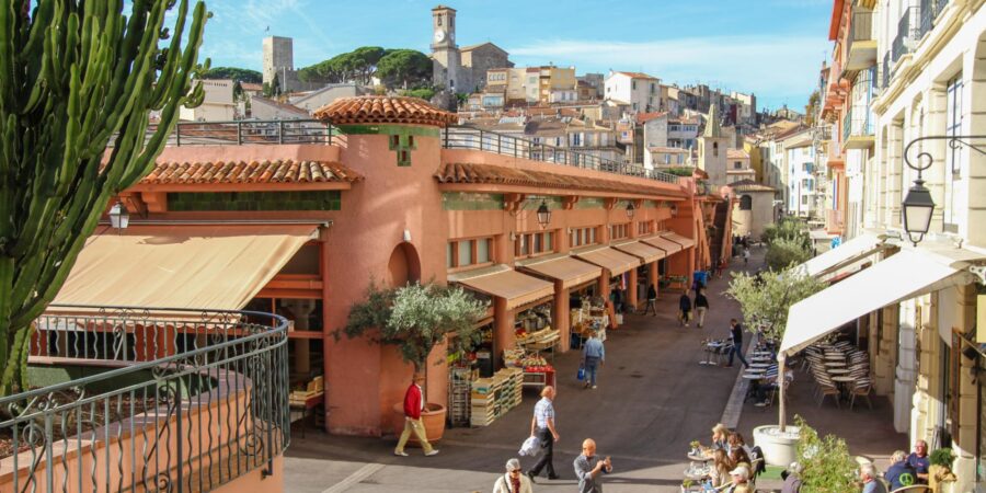 Vibrant Cannes marketplace with colorful stalls, historical architecture, lush greenery, and lively street life.
