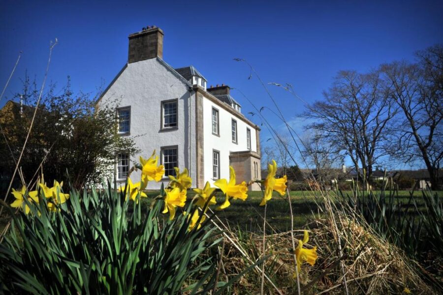 The Marmalade Hotel exterior in the UK, surrounded by vibrant daffodils and lush green grass.
