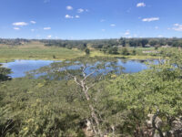 marondera show grounds Travel Forum Reviews