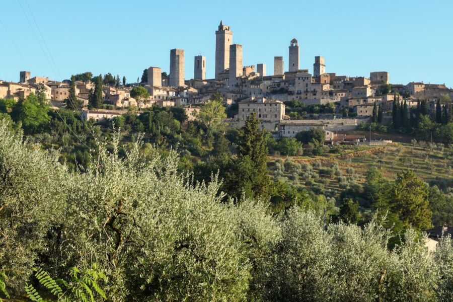 Medieval hillside San Gimignano town with stone towers, terracotta roofs, olive groves, and clear blue sky.