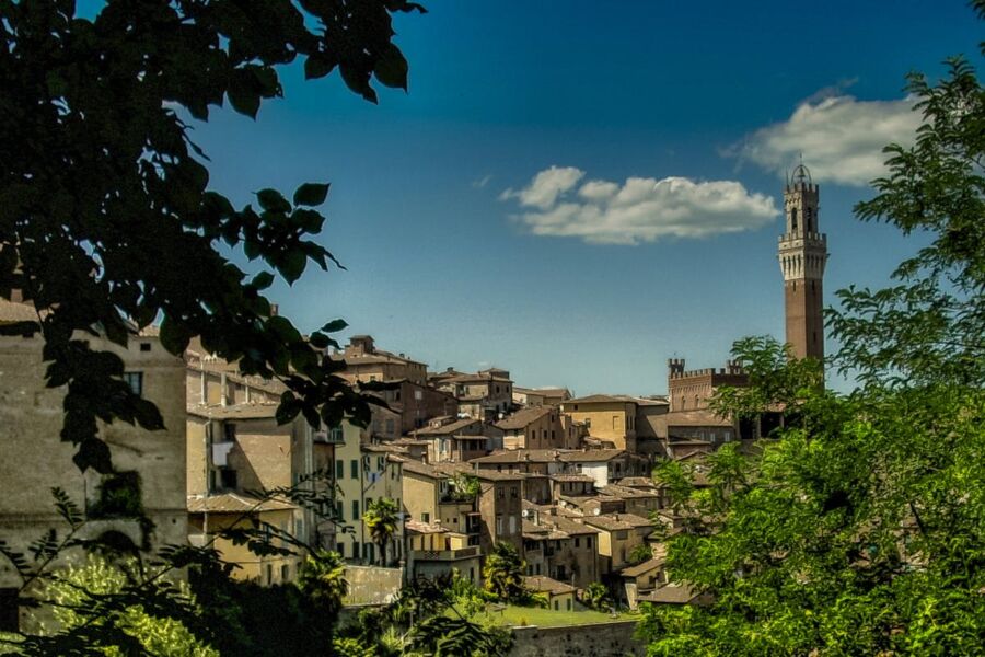 Picturesque medieval Italian town with historic architecture, lush greenery, and a prominent tower.