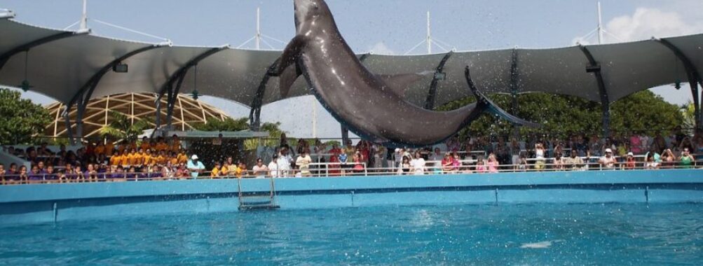 Miami Seaquarium