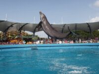 Miami Seaquarium