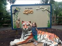 Mill Mountain Zoo