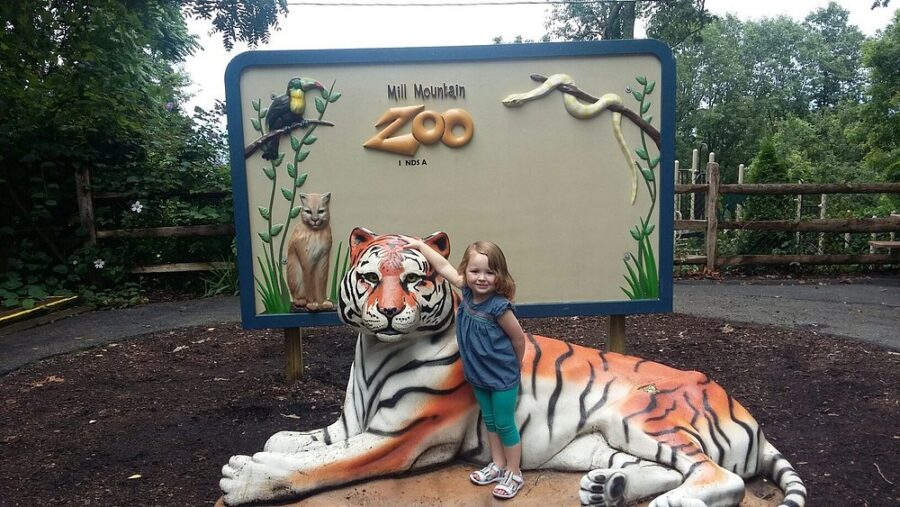 Mill Mountain Zoo