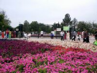 Model Town Park