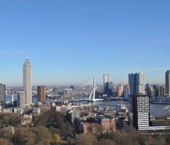 Modern city skyline with cable‑stayed river bridge, skyscrapers, and park under clear blue sky.