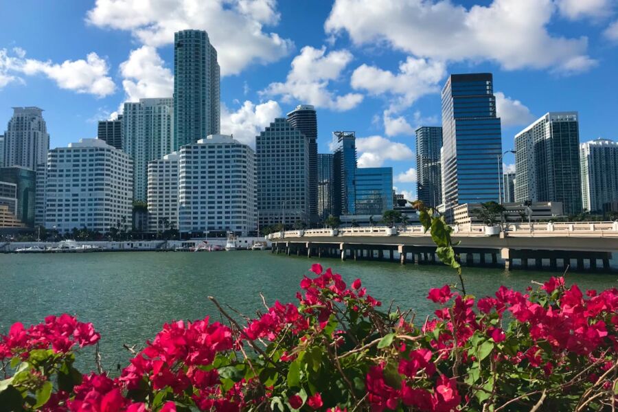 Vibrant city skyline with diverse architecture, blooming bougainvillea, and reflective waterway.