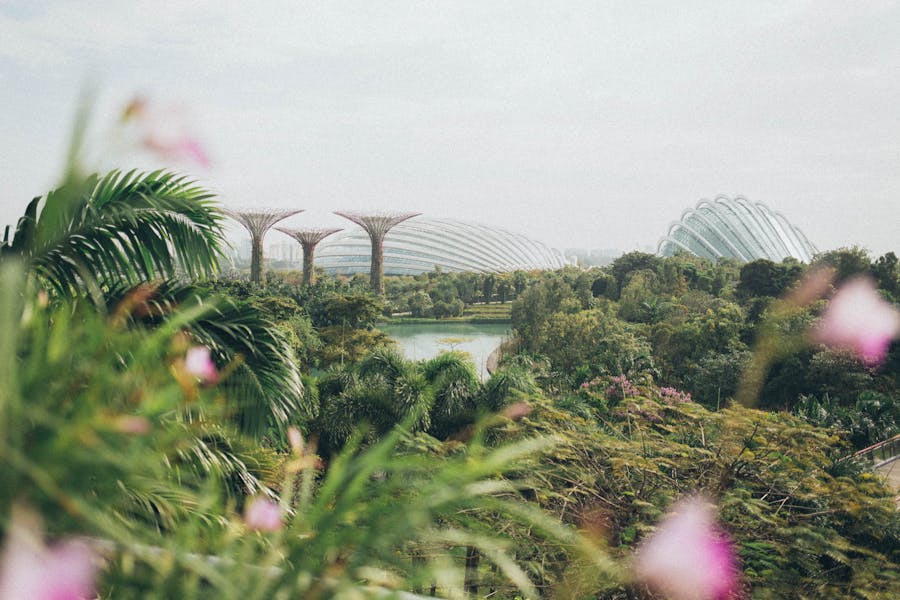 Gardens by the Bay
