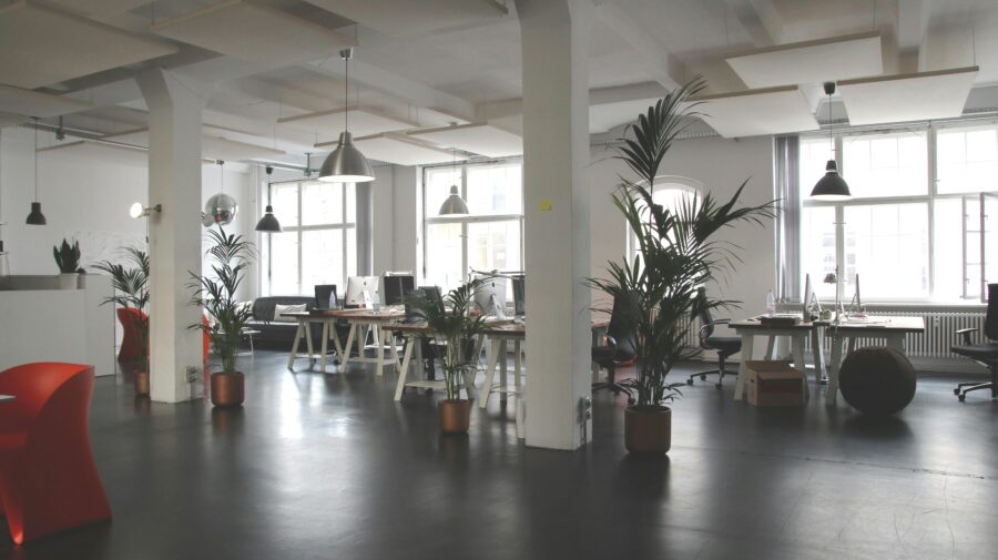Modern open-plan office with natural light, ergonomic furniture, and greenery enhancing productivity.