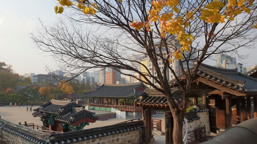 Traditional Korean hanok with modern skyline and autumn leaves in Namsangol Hanok Village.