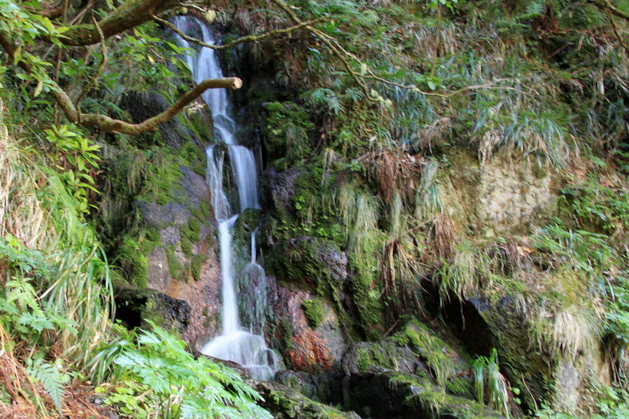Levada das 25 Fontes mossy-rock waterfall in lush laurel forest, Madeira.