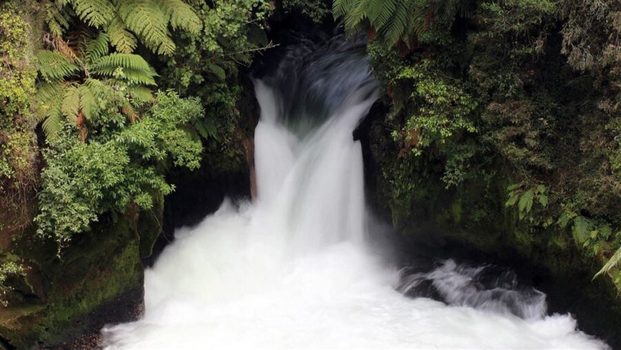 Long exposure of Okere Falls waterfall cascading through mossy rocks in lush green New Zealand rainforest.