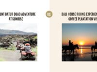 Mount Batur Quad Adventure at Sunrise vs Bali Horse Riding Experience and Coffee Plantation Visit: Which Tour Is Better?