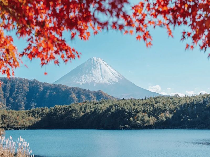 Mount Fuji surrounded by autumn foliage and calm lake, showcasing Japans serene natural beauty.