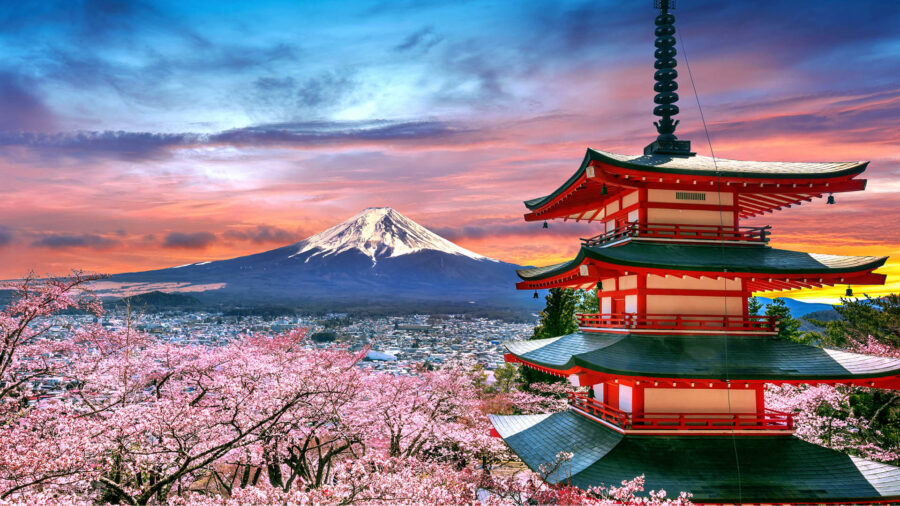 mount fuji pagoda cherry blossoms