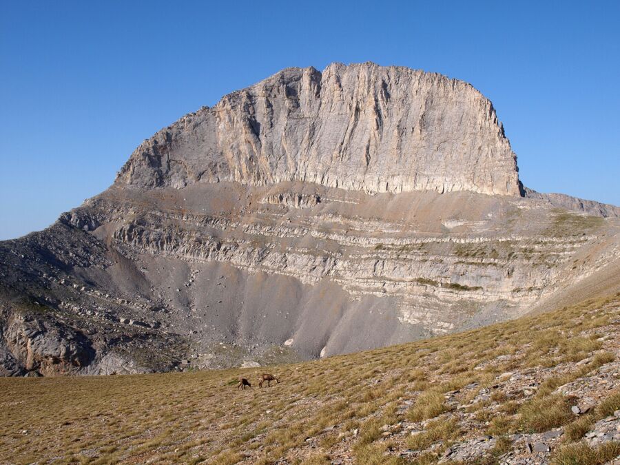 Mount Olympus peak under clear blue sky, with a grassy foreground. Two small animals graze, adding a serene, natural feel to the scene.